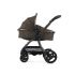BABYSTYLE Egg3 Set 8v1 Special Edition