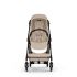CYBEX Melio Carbon + Cot Set