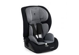 ABC DESIGN Aspen 2 Fix i-Size graphite 2025