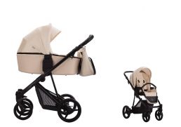 BEBETTO Flavio LTD 01 2024