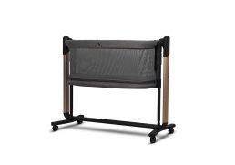 CAVOE Coq meteorite 2025