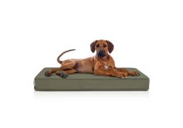 CARINIO Pelech Rest forest 2026 XL