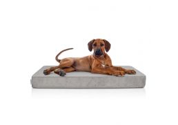CARINIO Pelech Rest rhino 2026 XL